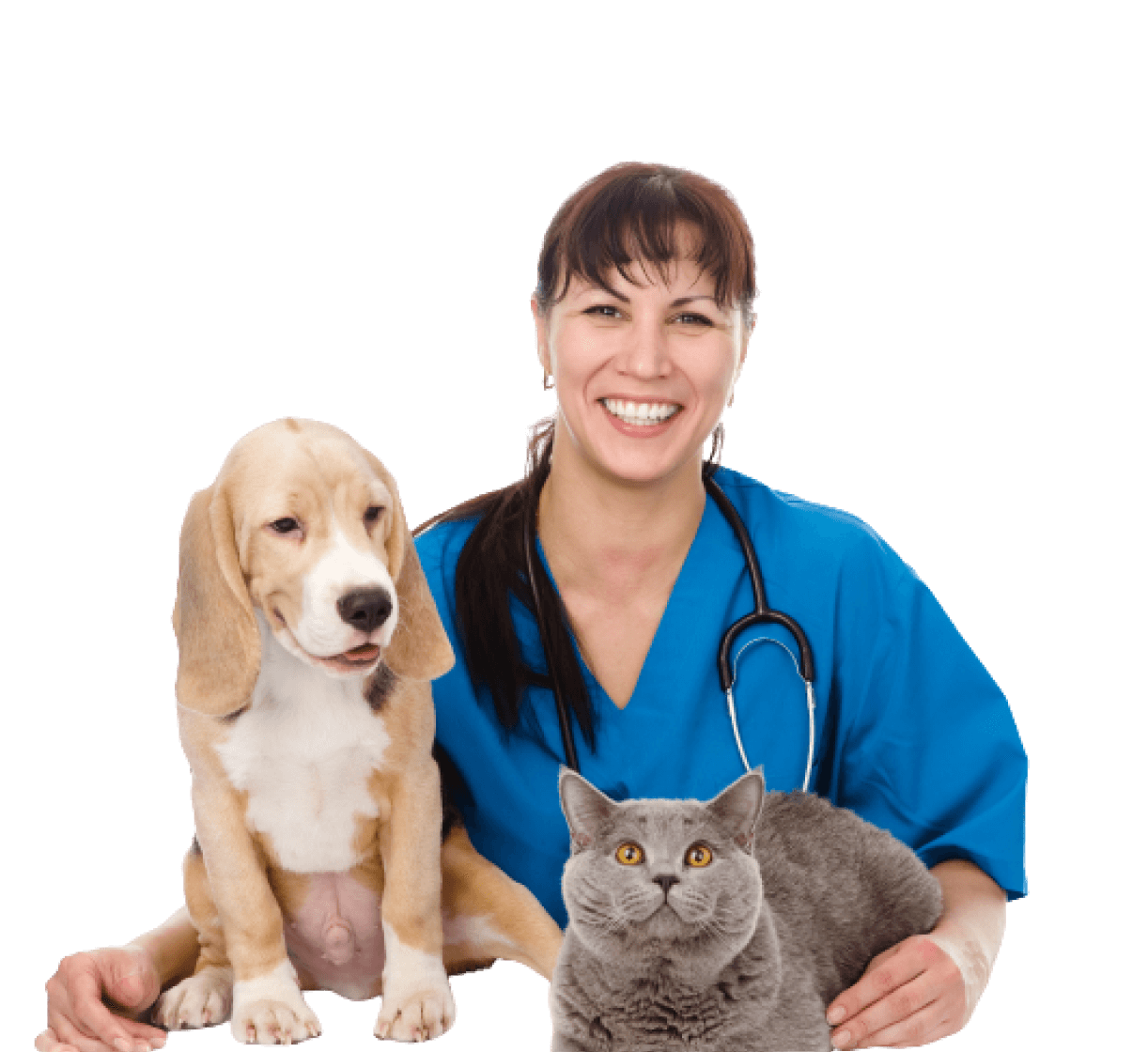 Bayside Animal Hospital Wolli Creek