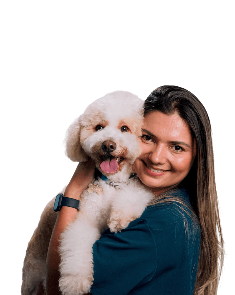 Bayside Animal Hospital Wolli Creek